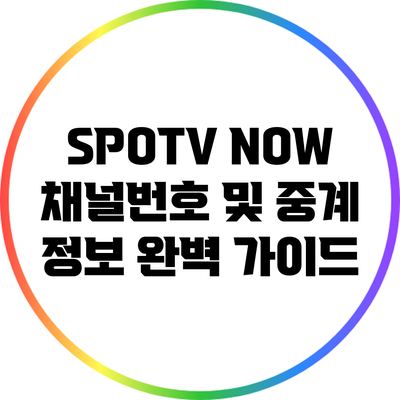 SPOTV NOW 채널번호 및 중계 정보 완벽 가이드