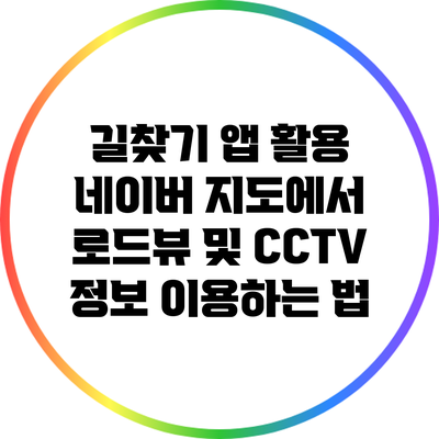 길찾기 앱 활용: 네이버 지도에서 로드뷰 및 CCTV 정보 이용하는 법