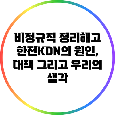 비정규직 정리해고: 한전KDN의 원인, 대책 그리고 우리의 생각