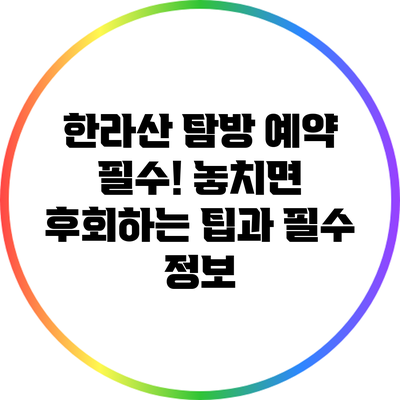 한라산 탐방 예약 필수! 놓치면 후회하는 팁과 필수 정보