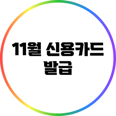 11월 신용카드 발급