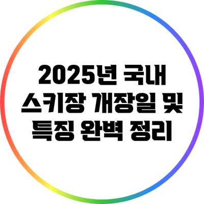 2025년 국내 스키장 개장일 및 특징 완벽 정리