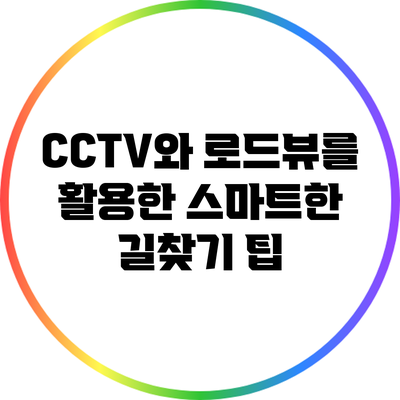 CCTV와 로드뷰를 활용한 스마트한 길찾기 팁