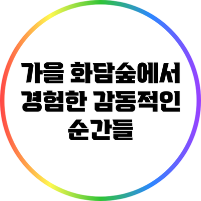 가을 화담숲에서 경험한 감동적인 순간들
