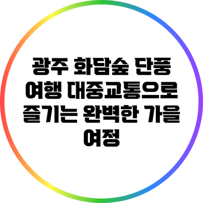 광주 화담숲 단풍 여행: 대중교통으로 즐기는 완벽한 가을 여정