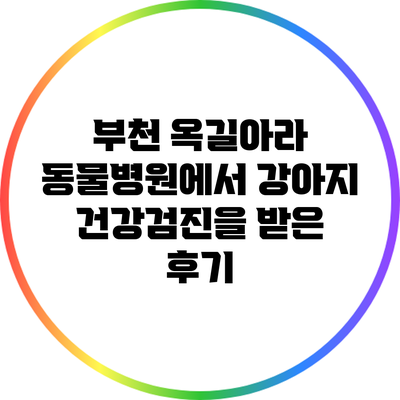 부천 옥길아라 동물병원에서 강아지 건강검진을 받은 후기
