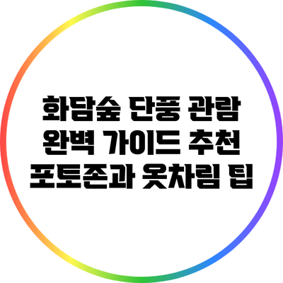화담숲 단풍 관람 완벽 가이드: 추천 포토존과 옷차림 팁