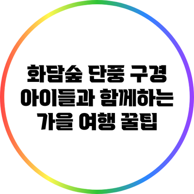 화담숲 단풍 구경: 아이들과 함께하는 가을 여행 꿀팁
