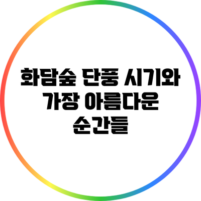 화담숲 단풍 시기와 가장 아름다운 순간들