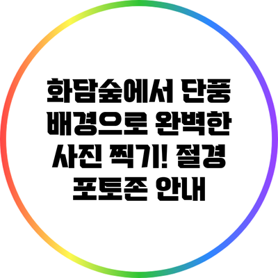 화담숲에서 단풍 배경으로 완벽한 사진 찍기! 절경 포토존 안내
