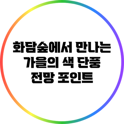 화담숲에서 만나는 가을의 색: 단풍 전망 포인트