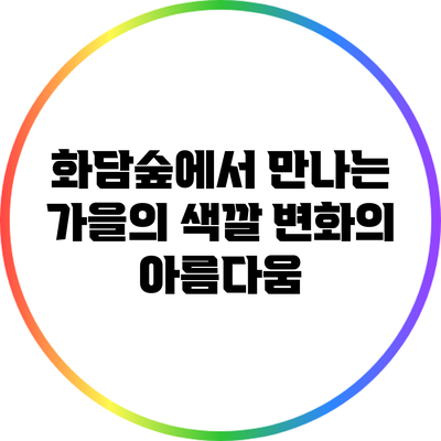 화담숲에서 만나는 가을의 색깔 변화의 아름다움