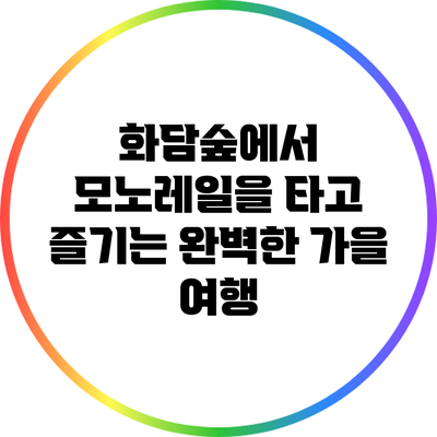 화담숲에서 모노레일을 타고 즐기는 완벽한 가을 여행