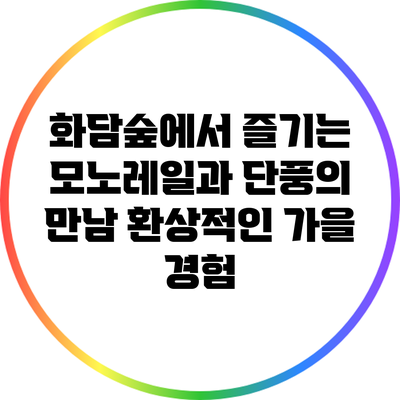 화담숲에서 즐기는 모노레일과 단풍의 만남: 환상적인 가을 경험