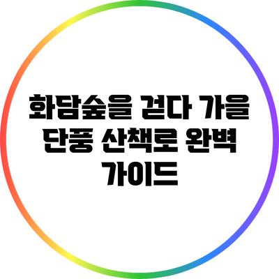 화담숲을 걷다: 가을 단풍 산책로 완벽 가이드