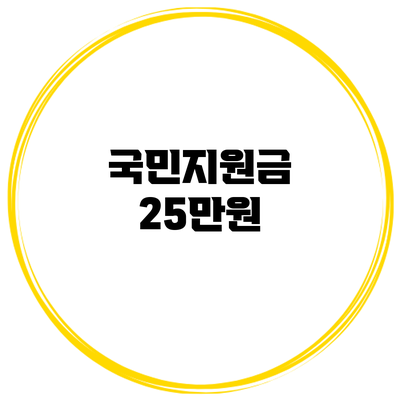 국민지원금 25만원