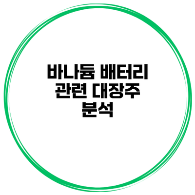 바나듐 배터리 관련 대장주 분석