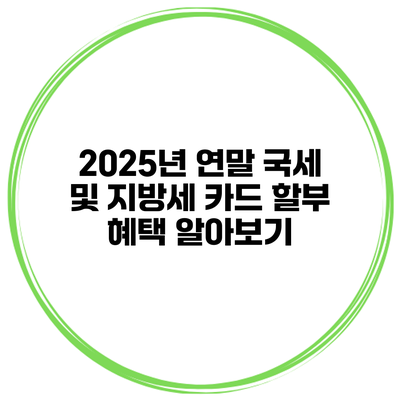 2025년 연말 국세 및 지방세 카드 할부 혜택 알아보기