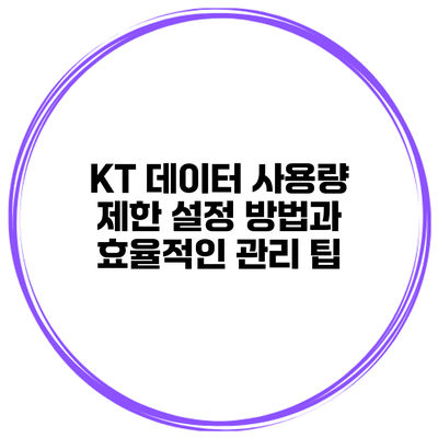KT 데이터 사용량 제한 설정 방법과 효율적인 관리 팁