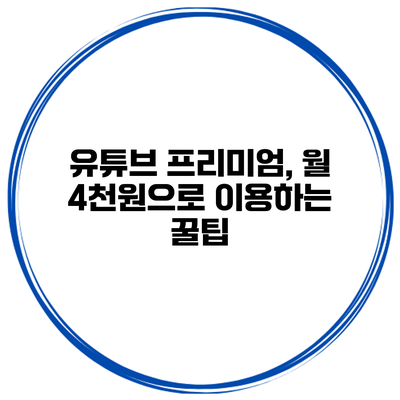 유튜브 프리미엄, 월 4천원으로 이용하는 꿀팁